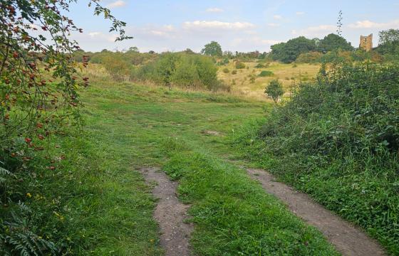 Land - No PP for sale in Clophill photo